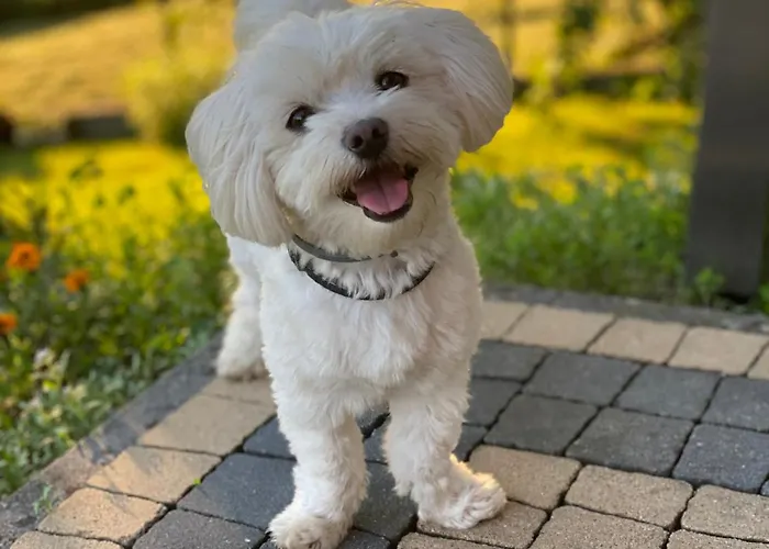 Zacisze * Устронь