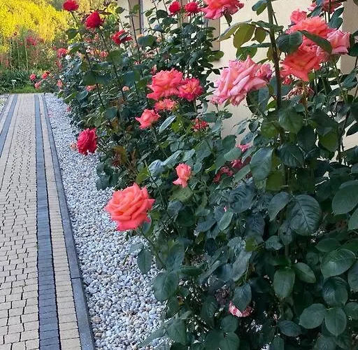 Zacisze Апартаменты